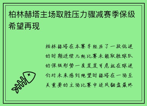 柏林赫塔主场取胜压力骤减赛季保级希望再现